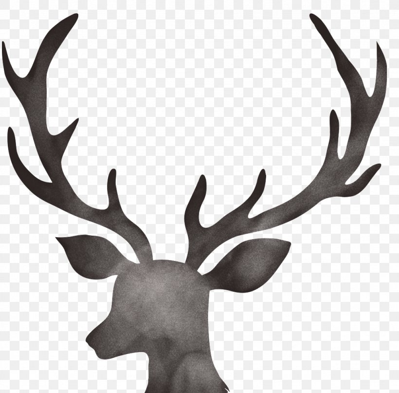 Deer Antler Floral Design Moose Christmas Day, PNG, 1024x1009px, Deer, Antler, Barren Ground Caribou, Blanket, Christmas Day Download Free