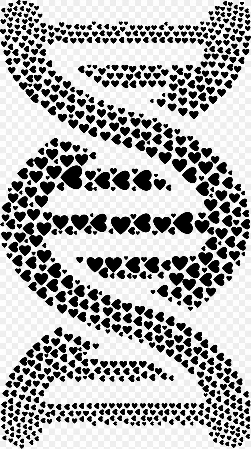 DNA Nucleic Acid Double Helix Clip Art, PNG, 1276x2283px, Dna, Area, Black, Black And White, Blog Download Free