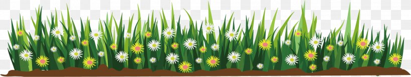 Flower Cartoon Illustration, PNG, 1987x377px, Flower, Art, Cartoon, Color, Commodity Download Free