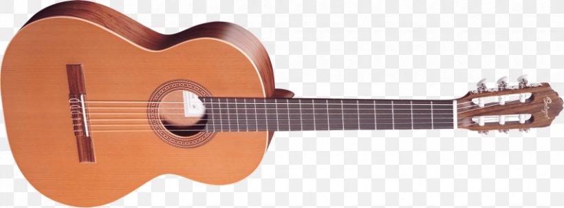 Classical Guitar Acoustic-electric Guitar Ukulele Steel-string Acoustic Guitar, PNG, 851x315px, Watercolor, Cartoon, Flower, Frame, Heart Download Free