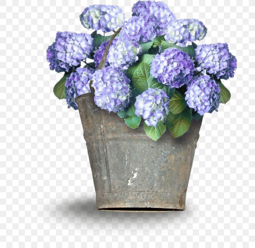 Hydrangea Cut Flowers Floral Design Flowerpot, PNG, 706x800px, Hydrangea, Artificial Flower, Bellflower Family, Blue, Common Lilac Download Free