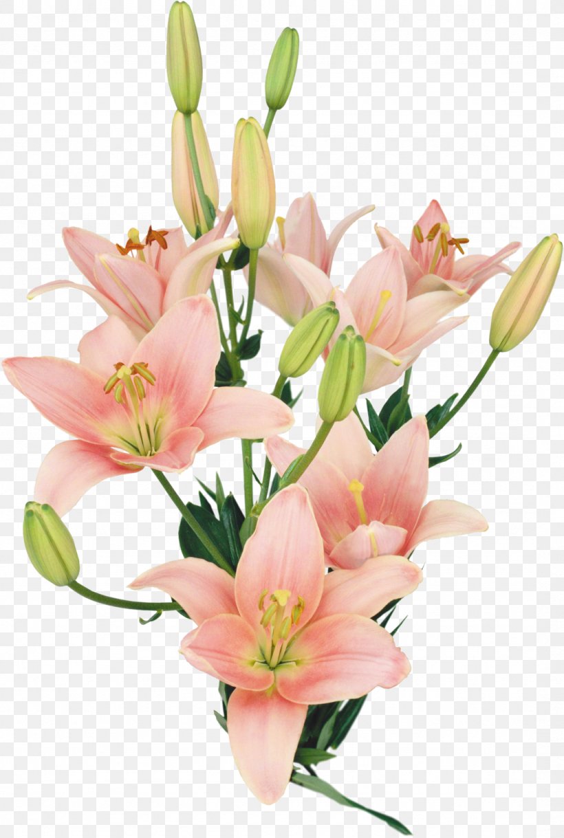 Lilium Flower Bouquet Clip Art, PNG, 1076x1600px, Lilium, Alstroemeriaceae, Cut Flowers, Floral Design, Floristry Download Free