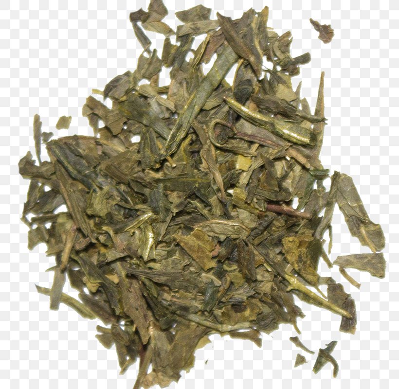 Nilgiri Tea Hōjicha Tea Plant, PNG, 800x800px, Nilgiri Tea, Assam Tea, Bai Mudan, Bancha, Biluochun Download Free