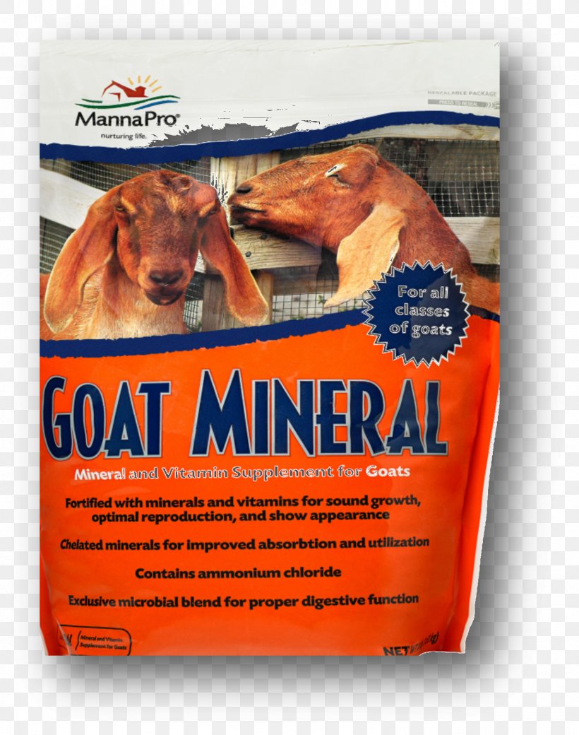 Sheep–goat Hybrid Sheep–goat Hybrid Mineral Dietary Supplement, PNG, 1591x2018px, Goat, Advertising, Brand, Dietary Supplement, Flavor Download Free