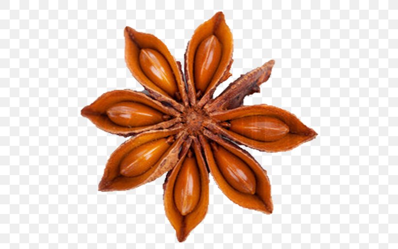 Star Anise Stock Photography, PNG, 512x512px, Star Anise, Anise, Flavor, Illicium, Ingredient Download Free