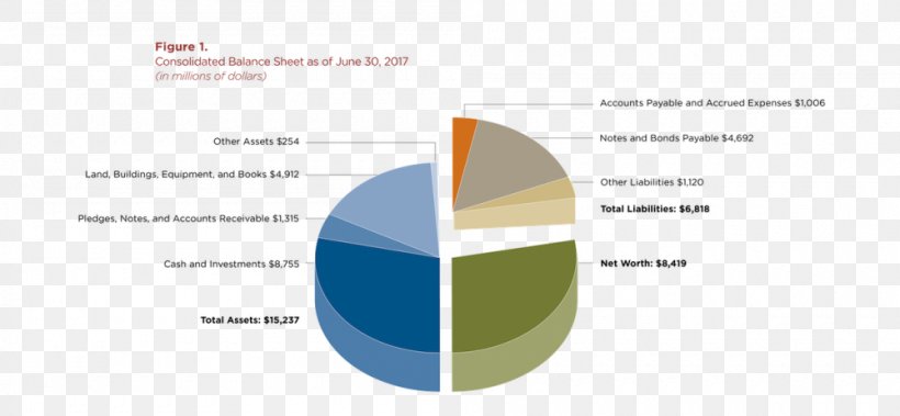 University Of Chicago C B Supply Inc Revenue Fiscal Year, PNG, 1000x463px, University Of Chicago, Annual Report, Area, Brand, Chicago Download Free