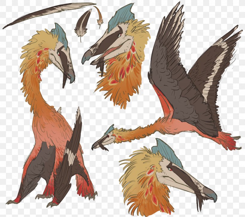 Beak Fauna Feather, PNG, 1600x1422px, Beak, Art, Bird, Dragon, Fauna Download Free