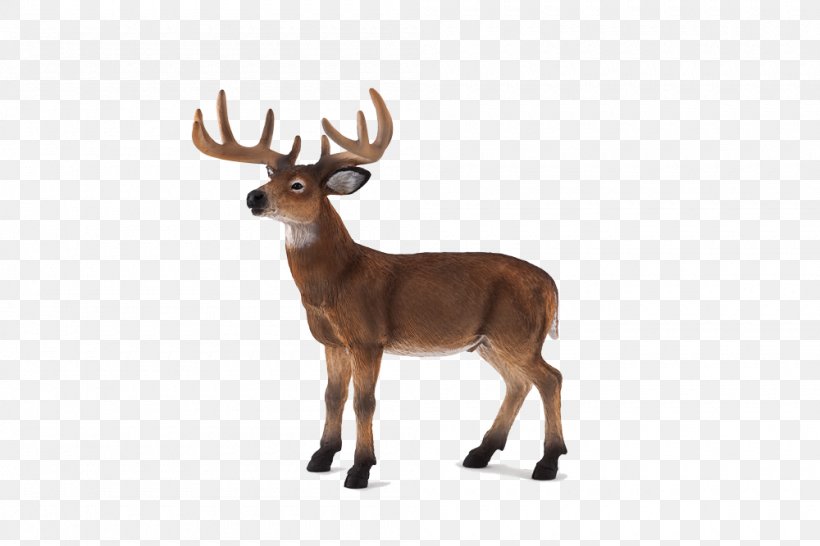 White-tailed Deer Red Deer Wildlife German Shepherd, PNG, 1000x667px, Whitetailed Deer, Animal, Animal Figure, Animal Figurine, Animal Planet Download Free