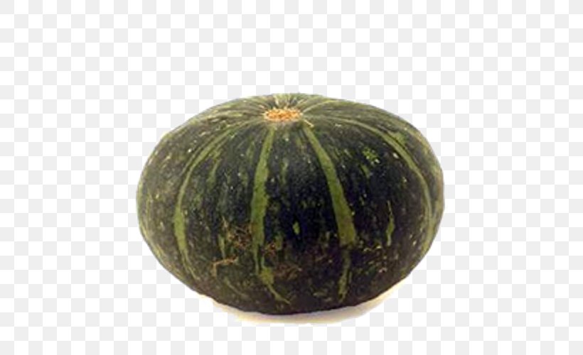 Gourd Customer Review Amazon.com Pillow, PNG, 500x500px, Gourd, Amazoncom, Bigbasket, Calabaza, Cucumber Gourd And Melon Family Download Free