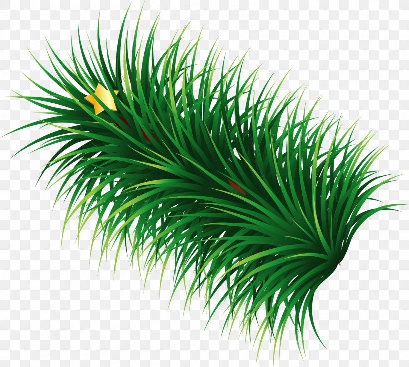Hand Painted Green Grass Star, PNG, 1501x1346px, Green, Arecaceae, Arecales, Designer, Flowerpot Download Free