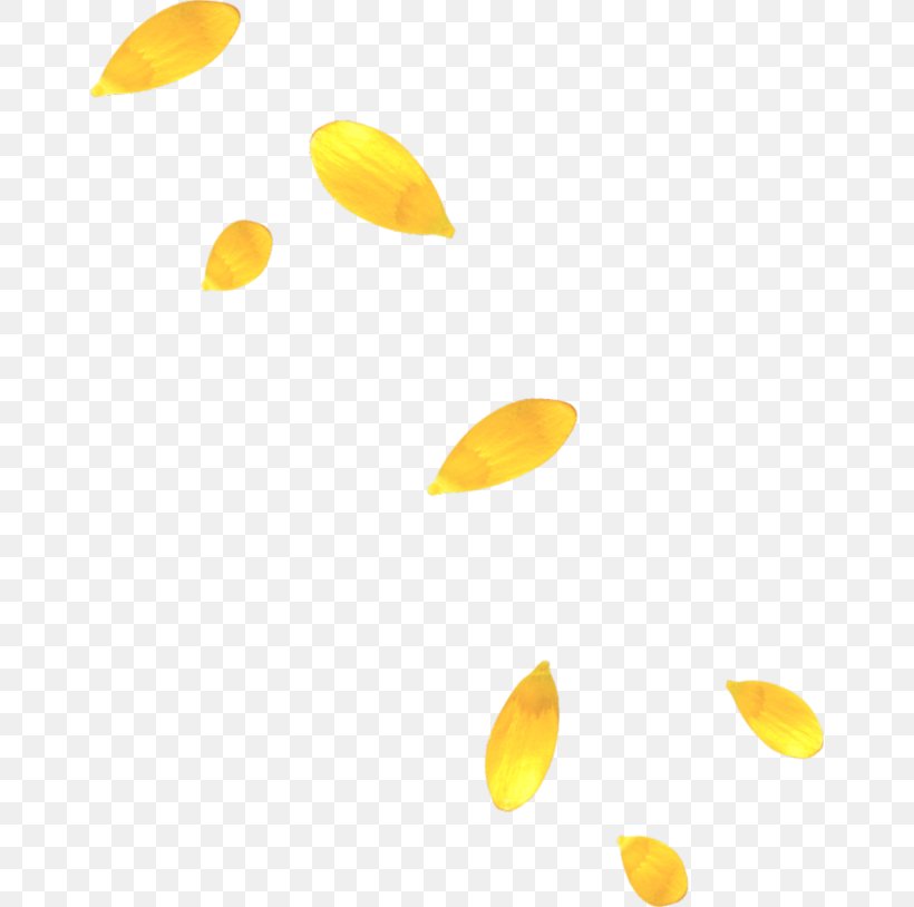 Petal Yellow Clip Art, PNG, 658x814px, Petal, Color, Gold, Leaf, Material Download Free
