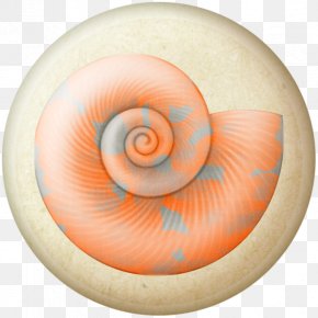 Watercolor Snail - Seashell Drawing Watercolor Painting Snail Clip Art PNG