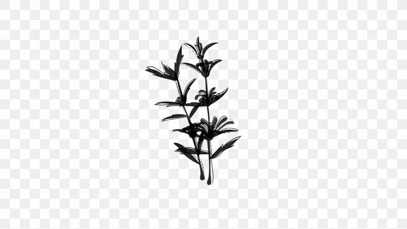 Twig Plant Stem Flower Leaf Line, PNG, 1200x675px, Twig, Blackandwhite, Botany, Branch, Flower Download Free