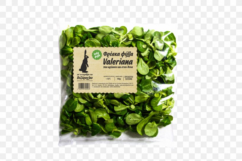 Veziroglou, A., & SIA E.E. Spring Greens Leaf Vegetable Salad Spinach, PNG, 1800x1200px, Veziroglou A Sia Ee, Arugula, Brand Strategist, Common Beet, Food Download Free
