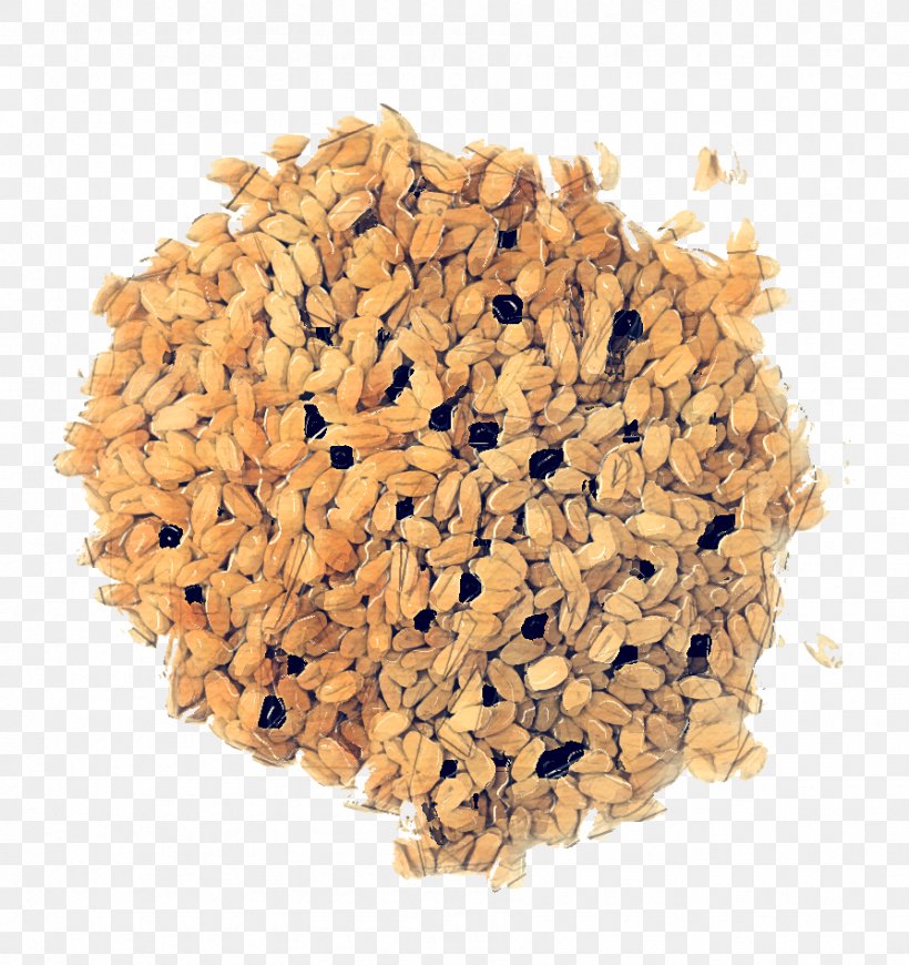 Forestry Wood Price Pellet Fuel, PNG, 895x950px, Forestry, Brown Rice, Cereal, Cereal Germ, Cuisine Download Free