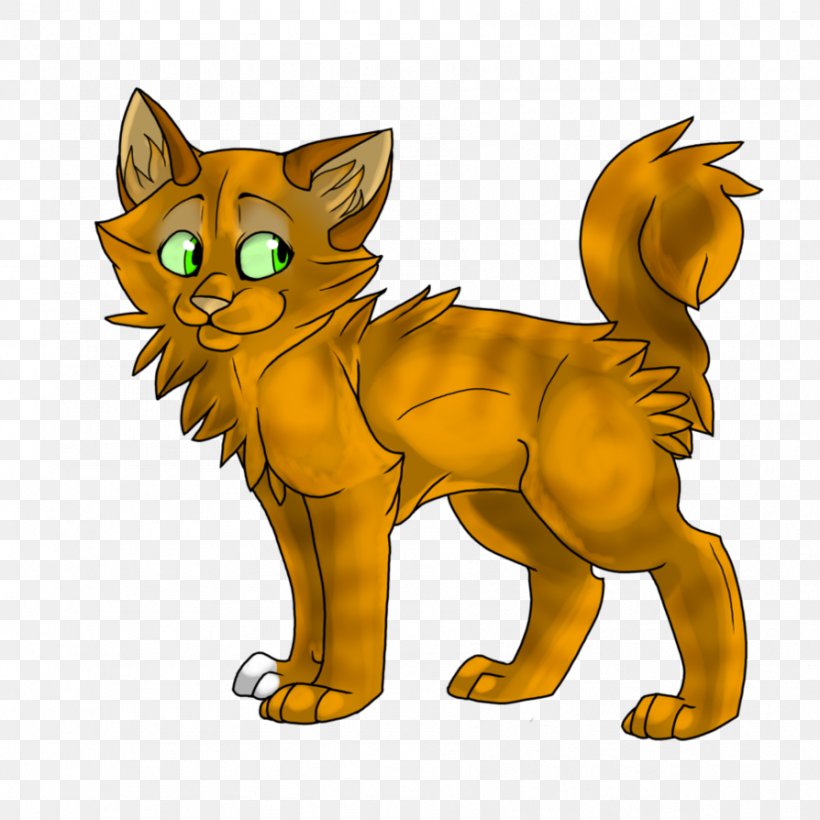 Kitten Whiskers Rising Storm Cat Warriors, PNG, 894x894px, Kitten, Carnivoran, Cat, Cat Like Mammal, Dog Like Mammal Download Free