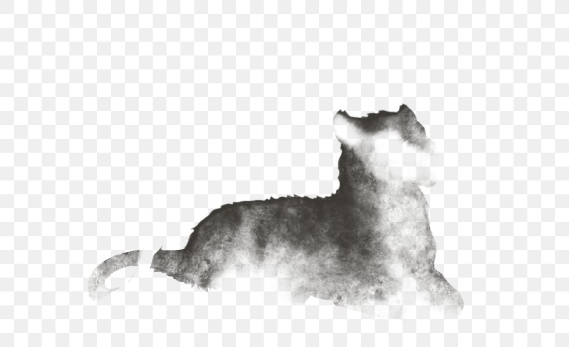Miniature Schnauzer Cat Standard Schnauzer Dog Breed Puppy, PNG, 640x500px, Miniature Schnauzer, Animal, Black And White, Breed, Canidae Download Free