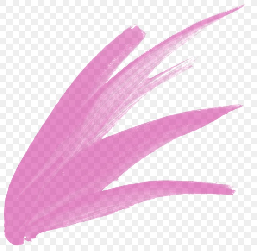 Pink M Feather RTV Pink, PNG, 800x800px, Pink M, Feather, Magenta, Petal, Pink Download Free