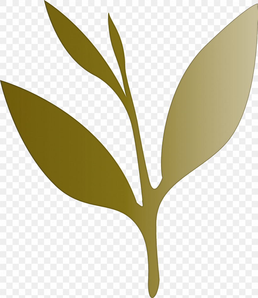 Tea Leaves Leaf Spring, PNG, 2592x3000px, Tea Leaves, Bay Leaf, Branch, Eucalyptus, Flower Download Free