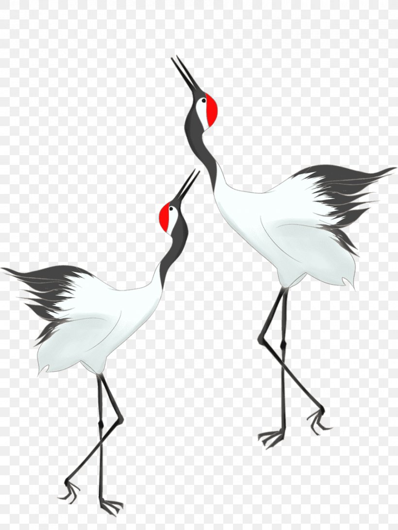 Water Bird Beak Neck Wader, PNG, 900x1200px, Bird, Beak, Black And White, Crane, Crane Like Bird Download Free