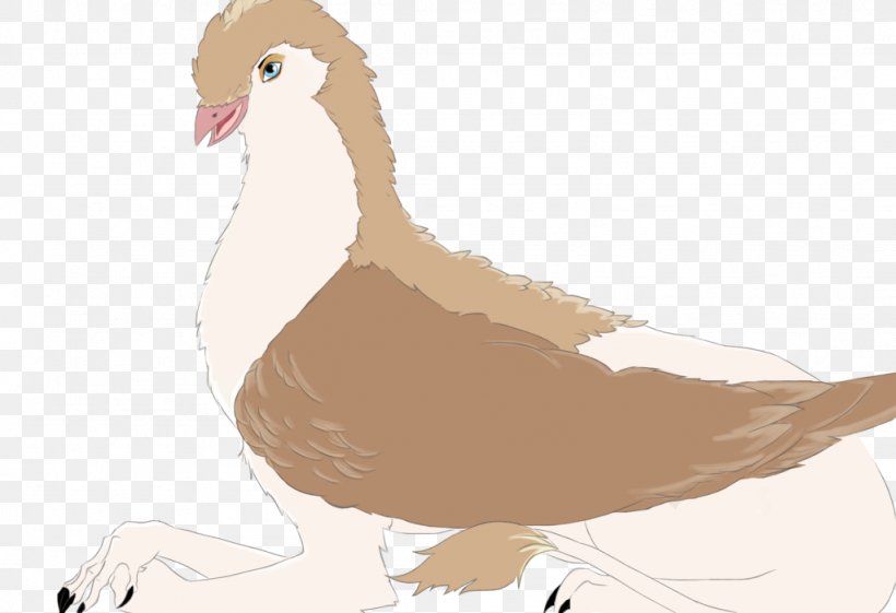 Duck Goose Feather Beak, PNG, 1024x701px, Duck, Beak, Bird, Chicken, Chicken As Food Download Free
