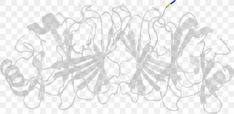 Line Art Drawing White, PNG, 1022x500px, Line Art, Artwork, Black, Black And White, Branch Download Free