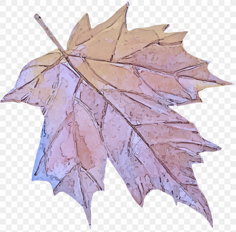 Maple Leaf, PNG, 1313x1291px, Leaf, Beech, Black Maple, Deciduous, Flower Download Free