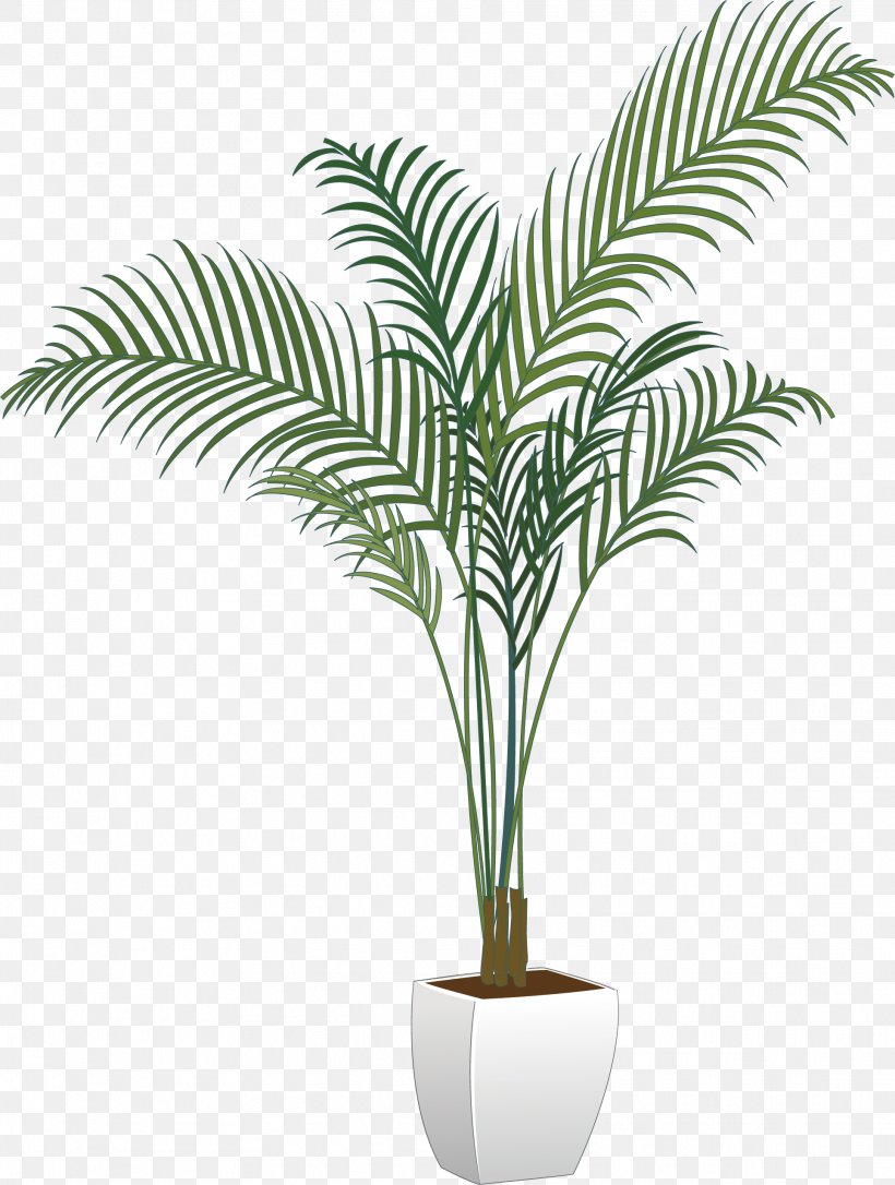 Arecaceae Flowerpot Houseplant, PNG, 1929x2557px, Arecaceae, Arecales, Bonsai, Flowerpot, Google Images Download Free