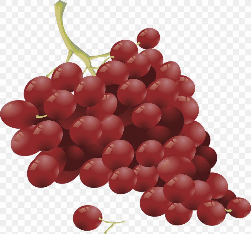 Common Grape Vine Red Wine, PNG, 1200x1121px, Common Grape Vine, Berry, Cranberry, Currant, Drawing Download Free
