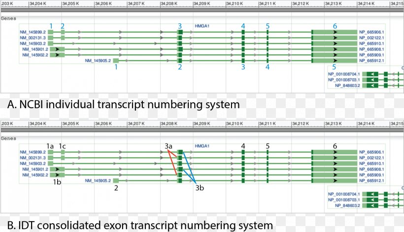 Computer Program Line Engineering Angle Screenshot, PNG, 1703x982px, Watercolor, Cartoon, Flower, Frame, Heart Download Free