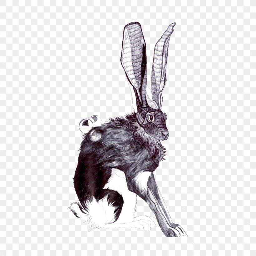 Domestic Rabbit Abziehtattoo Hare, PNG, 1000x1000px, Domestic Rabbit, Abziehtattoo, Animal, Drawing, Fauna Download Free