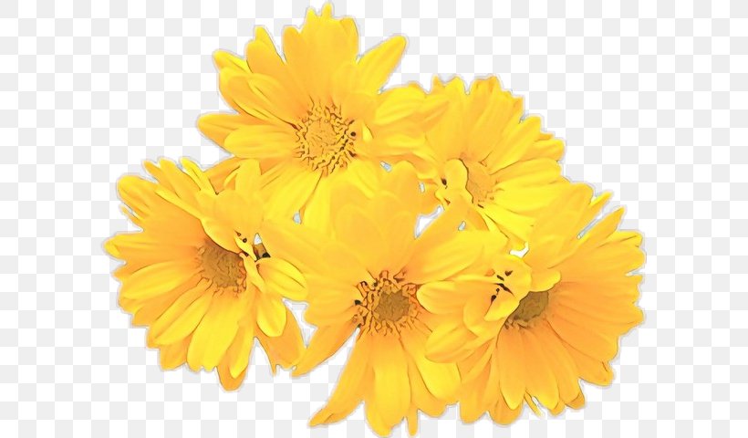 Flower Yellow English Marigold Flowering Plant Plant, PNG, 599x480px, Cartoon, Calendula, Cut Flowers, Daisy Family, English Marigold Download Free