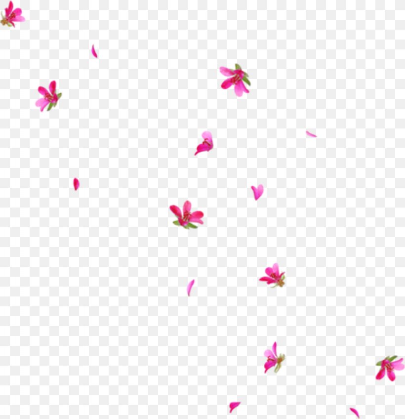 Clip Art Flower Vector Graphics Desktop Wallpaper, PNG, 1024x1060px, Flower, Art, Blossom, Cherry Blossom, Heart Download Free