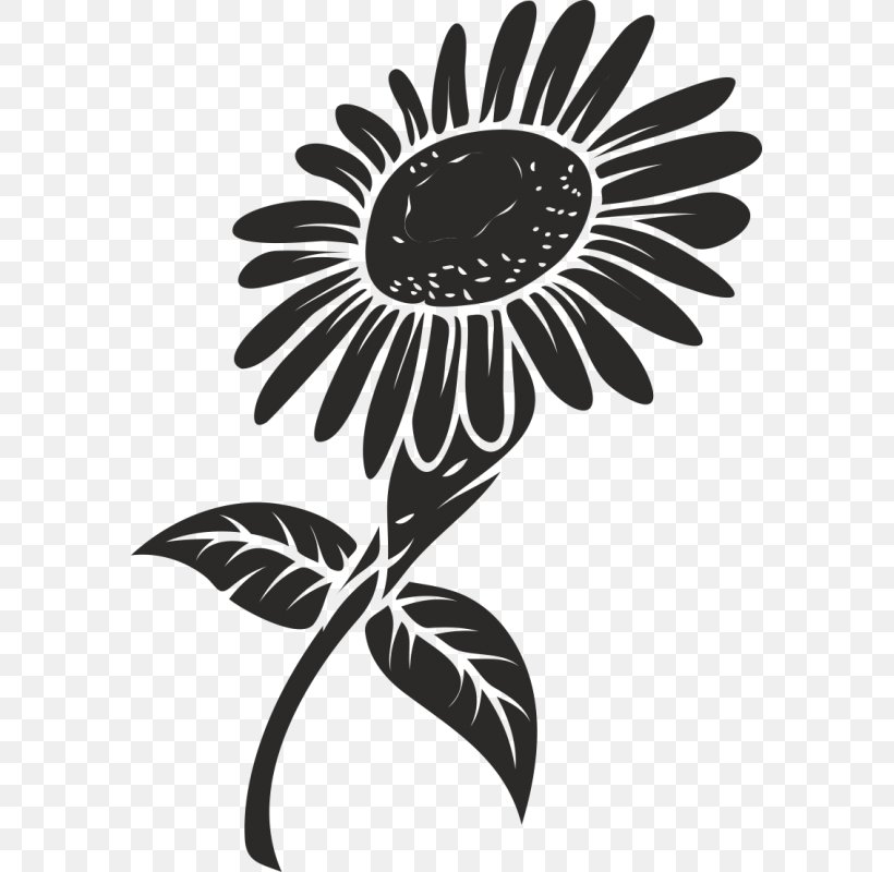 Vector Graphics Royalty-free Image Common Sunflower Clip Art, PNG, 800x800px, Royaltyfree, Black, Black And White, Common Sunflower, Daisy Family Download Free