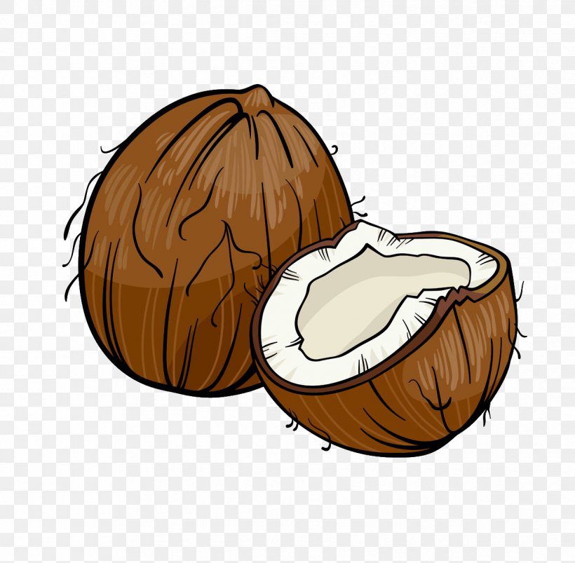 Coconut Cartoon Royalty-free Illustration, PNG, 1237x1212px, Coconut, Black And White, Cartoon, Drawing, Food Download Free