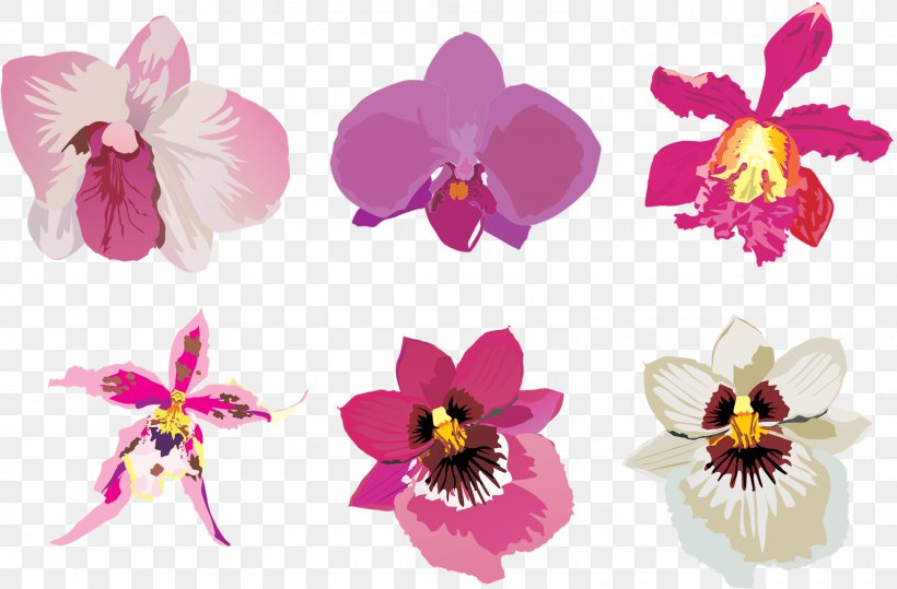 Cut Flowers Orchids, PNG, 1600x1053px, Flower, Cattleya, Cattleya Orchids, Cut Flowers, Element Download Free