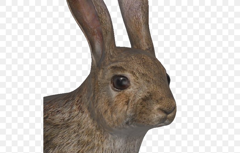 European Rabbit Hare TheHunter Burrow, PNG, 523x523px, Watercolor, Cartoon, Flower, Frame, Heart Download Free