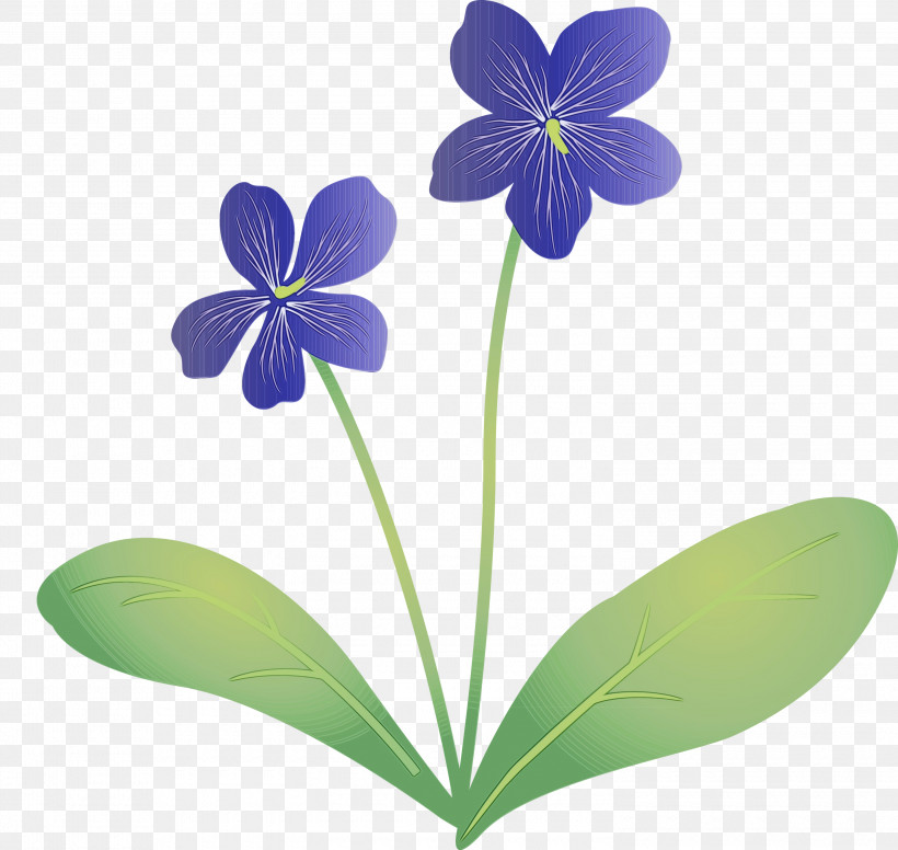 Flower Petal Flora Plants Science, PNG, 3000x2841px, Violet Flower, Biology, Flora, Flower, Paint Download Free