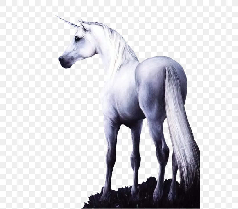 Horse Unicorn, PNG, 558x722px, Horse, Black And White, Display Resolution, Fictional Character, Horse Like Mammal Download Free