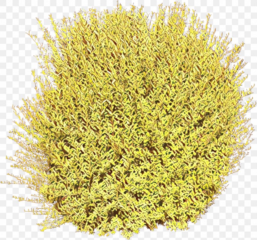 Plant Yellow Grass Flower Perennial Plant, PNG, 1069x1000px, Cartoon, Flower, Grass, Perennial Plant, Plant Download Free