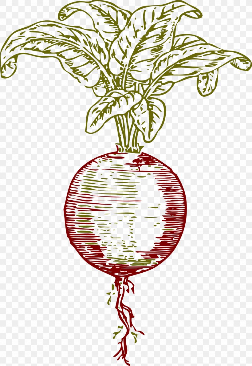 Pomegranate Juice Beetroot Sugar Beet Vegetable, PNG, 1325x1920px, Juice, Beetroot, Betanin, Branch, Christmas Ornament Download Free