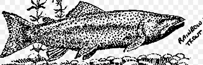 Rainbow Trout Fish Clip Art, PNG, 2358x761px, Rainbow Trout, Animal, Big Cats, Black And White, Brook Trout Download Free