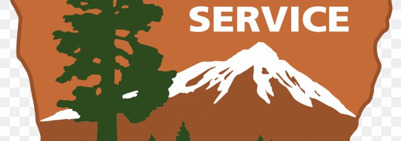 Sequoia National Park National Mall Carlsbad Caverns National Park Long Live The Kings National Park Service, PNG, 1200x425px, Sequoia National Park, Brand, Carlsbad Caverns National Park, Human Behavior, Logo Download Free