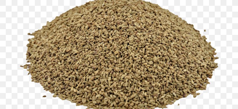 Ajwain Spice Herb Cultivator Natural Products Pvt. Ltd. Carminative, PNG, 710x375px, Ajwain, Annual Plant, Bran, Carminative, Commodity Download Free