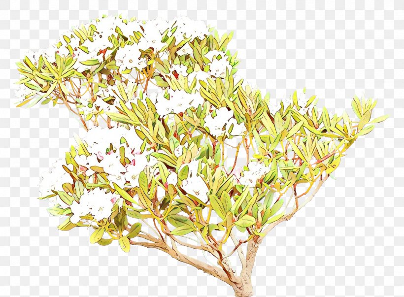 Flower Plant Cut Flowers Branch Flowering Plant, PNG, 2438x1795px, Cartoon, Aquarium Decor, Branch, Cut Flowers, Flower Download Free