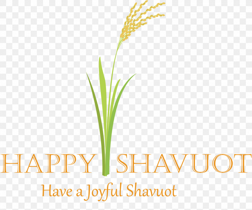 Happy Shavuot Shavuot Shovuos, PNG, 3000x2503px, Happy Shavuot, Elymus Repens, Flower, Grass, Grass Family Download Free