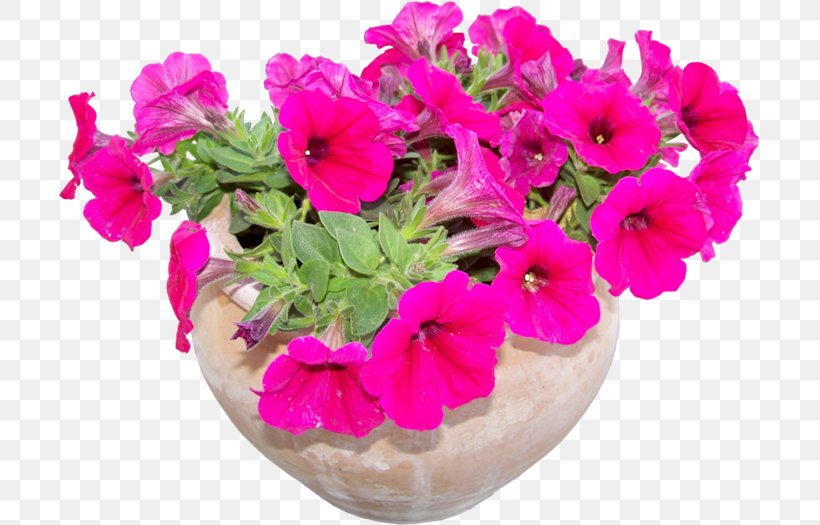 Floral Design Flowerpot Plant Cut Flowers, PNG, 701x525px, Floral Design, Annual Plant, Botany, China Rose, Chrysanthemum Download Free