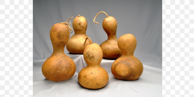 Gourd Cucurbita Calabaza Winter Squash Price, PNG, 1200x600px, Gourd, Boxedcom, Calabaza, Cucumber Gourd And Melon Family, Cucurbita Download Free