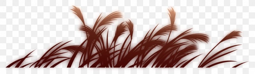 Grasses Common Reed Font, PNG, 1280x376px, Grasses, Branch, Common Reed, Family, Grass Download Free