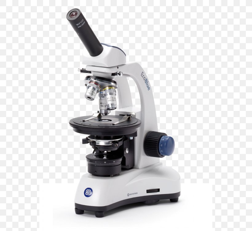 Optical Microscope Digital Microscope Monocular Eyepiece, PNG, 563x750px, Optical Microscope, Achromatic Lens, Binoculair, Biology, Digital Microscope Download Free